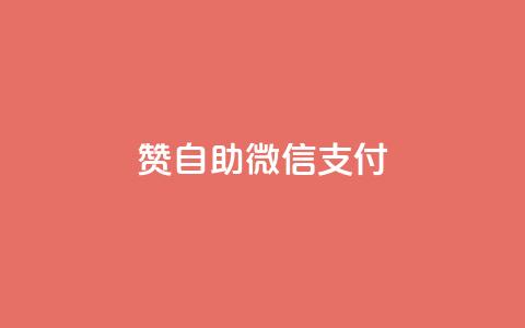 Ks赞自助微信支付,qq云商城的下单流程 - 拼多多0.01积分后面是什么 史密斯韦森CSX9 第1张