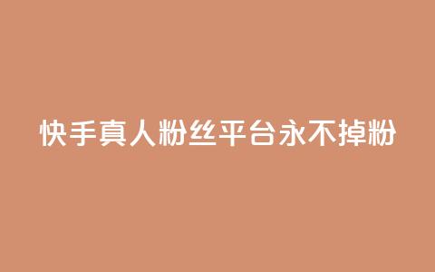 快手真人粉丝平台 永不掉粉,粉丝商城 - dy免费24小时下单网站最新版 抖音评论业务下单24小时 第1张