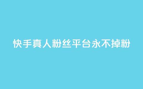 快手真人粉丝平台 永不掉粉 - 快手粉丝平台，绝对稳定永不流失！ 第1张