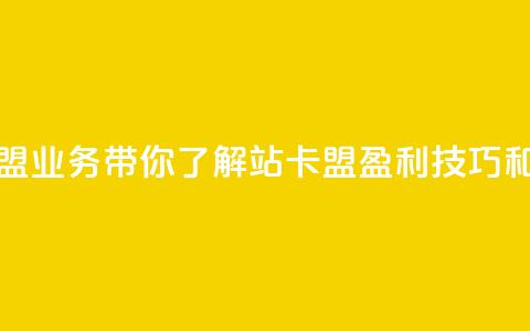 b站卡盟业务 - B站卡盟业务带你了解B站卡盟、盈利技巧和使用方法! 第1张