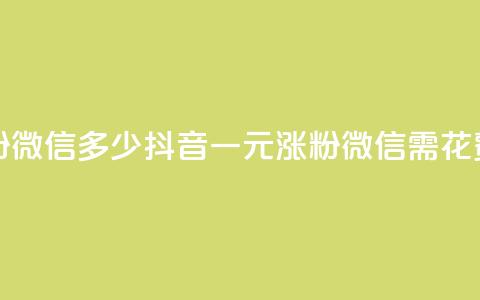 抖音一元涨粉1000微信多少 - 抖音一元涨粉1000微信需花费多少~ 第1张