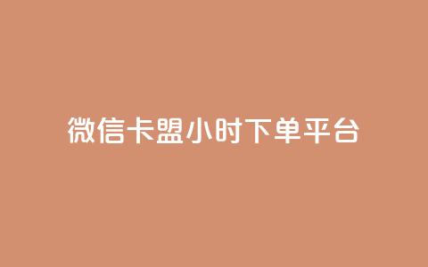 微信卡盟24小时下单平台 - 抖音100充值入口 第1张