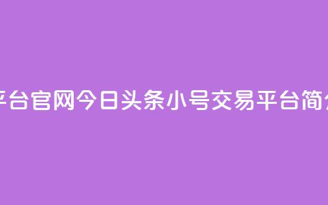 今日头条小号出售平台官网 - 今日头条小号交易平台简介与使用指南~ 第1张