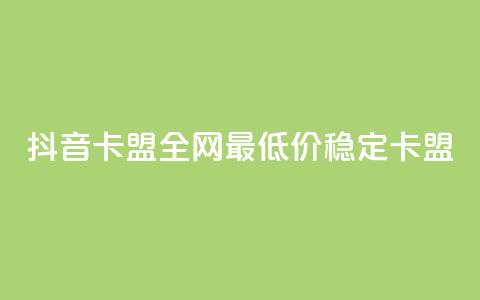 抖音卡盟全网最低价稳定卡盟,卡密进货渠道 - 抖音业务下单卡盟 24自助下单服务平台 第1张