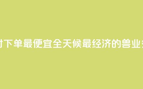 块兽业务平台24小时下单最便宜 - 全天候最经济的兽业务平台下单~ 第1张