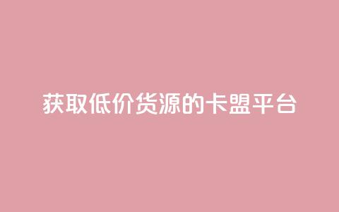 获取低价货源的卡盟平台 第1张