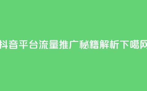 抖音平台流量推广秘籍解析 第1张