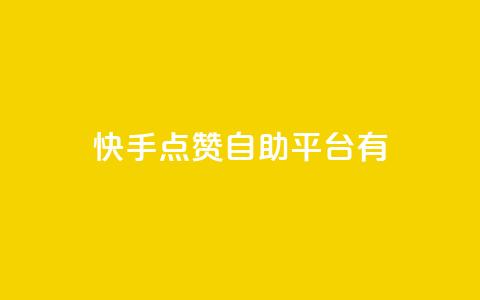 快手点赞自助平台有 - 快手点赞自助平台：提升快手视频曝光的利器! 第1张