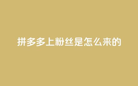 拼多多上粉丝是怎么来的,qq空间访客业务 - 拼多多转盘助力网站 拼多多怎么买人助力 第1张