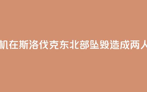 一架小型飞机在斯洛伐克东北部坠毁 造成两人受伤 第1张