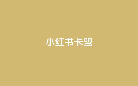 小红书卡盟 - 小红书卡盟的使用指南与注意事项! 第1张 小红书卡盟 - 小红书卡盟的使用指南与注意事项! 第1张