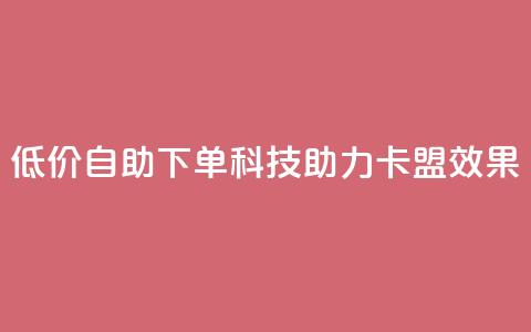 低价自助下单科技助力卡盟SEO效果 第1张