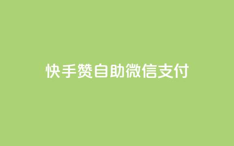 快手赞自助微信支付,qq空间免费5000赞 - qq主页赞自助下单 卡密拿货渠道 第1张