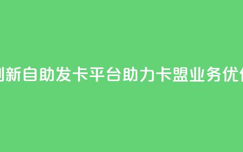 创新自助发卡平台，助力卡盟业务优化 第1张