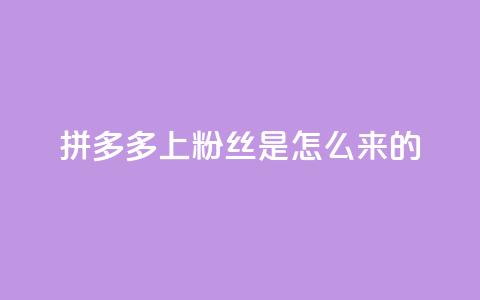 拼多多上粉丝是怎么来的,免费点赞超级便宜网站 - 抖音怎么清理虚假粉丝 qq赞在线自助下单网站 第1张