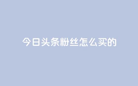 今日头条粉丝怎么买的,1元3万粉丝 - 快手点赞自助平台有 卡盟卡密使用教程 第1张