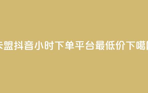 卡盟抖音 - 24小时下单平台最低价 第1张