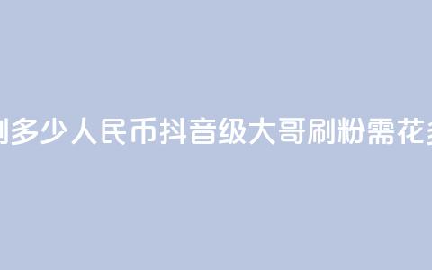 抖音75级大哥需要刷多少人民币(抖音75级大哥刷粉需花多少人民币？) 第1张