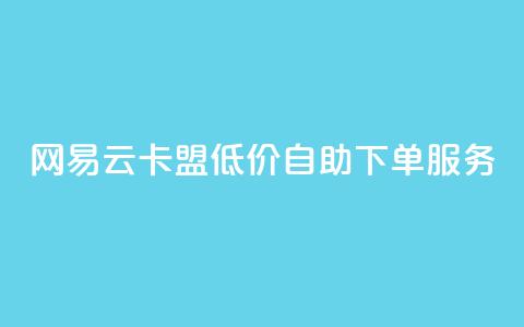 网易云卡盟低价自助下单服务 第1张