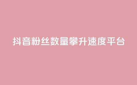 抖音粉丝数量攀升速度平台 第1张