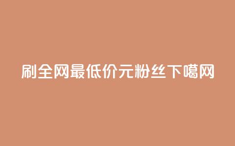 dy刷全网最低价 - 1元1w粉丝 第1张