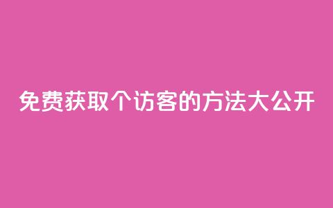 免费获取100个访客的方法大公开 第1张