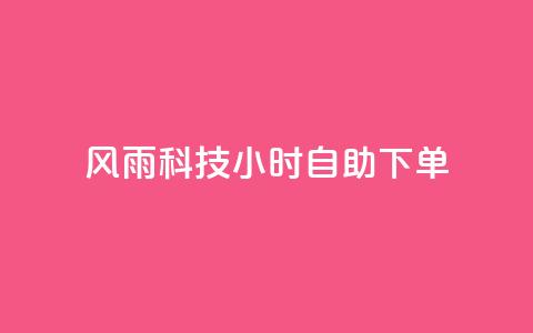 风雨科技24小时自助下单,抖音怎么样能涨粉快一点 - 24小时低价下单平台抖音 qq空间浏览量刷的软件 第1张