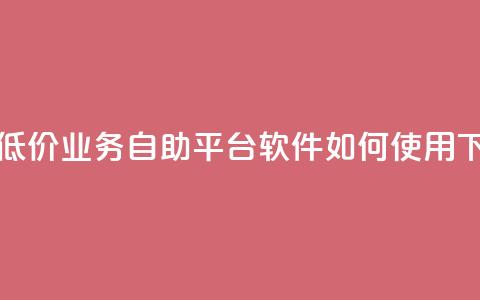 快手低价业务自助平台软件如何使用 第1张