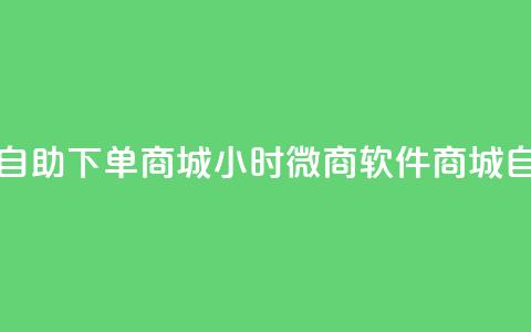 24小时微商软件自助下单商城(24小时微商软件商城自助下单) 第1张