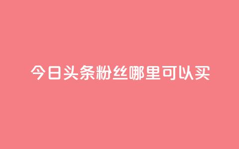 今日头条粉丝哪里可以买 - 今日头条粉丝购买渠道探秘~ 第1张