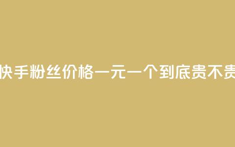 快手粉丝价格一元一个到底贵不贵 第1张