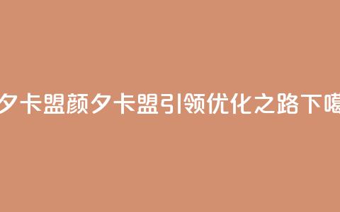 颜夕卡盟(颜夕卡盟引领SEO优化之路) 第1张