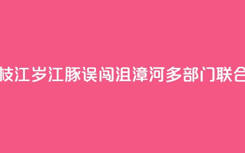 湖北枝江：2岁江豚误闯沮漳河 多部门联合救援 第1张