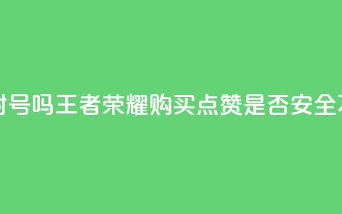 王者荣耀买赞不会封号吗 - 王者荣耀购买点赞是否安全不会被封号吗! 第1张