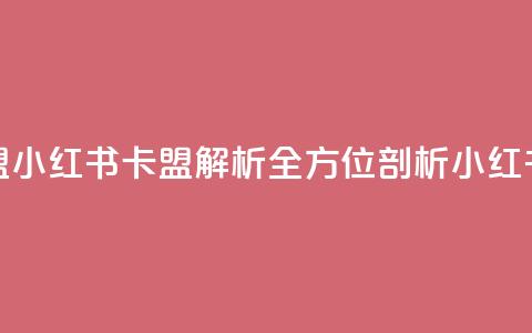 小红书卡盟(小红书卡盟解析全方位剖析小红书卡盟平台) 第1张