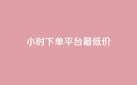 24小时下单平台最低价 - 24小时内订购 最优惠价格 平台~ 第1张