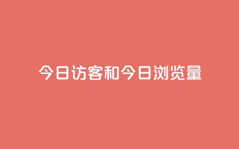 今日访客和今日浏览量,网红商城快手业务24小时营业 - pdd提现700套路最后一步 全网最低价业务网站 第1张