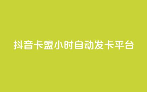 抖音卡盟24小时自动发卡平台,颜夕卡盟 - 全网辅助货源站 快手点赞评论软件微信支付 第1张