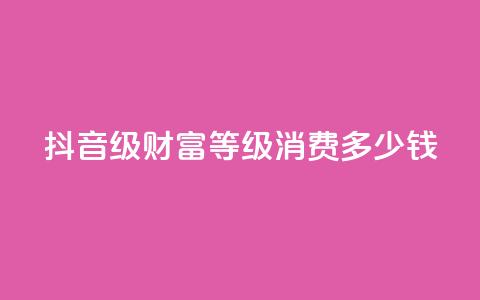 抖音24级财富等级消费多少钱,QQ空间访客12万 - 刷QQ空间访客量 抖音充值官方链接地址 第1张