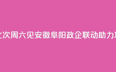 （身边的变化）94次“周六见”，安徽阜阳政企联动助力项目“加速跑” 第1张