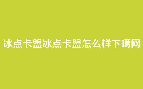 冰点卡盟 - 冰点卡盟怎么样？~ 第1张