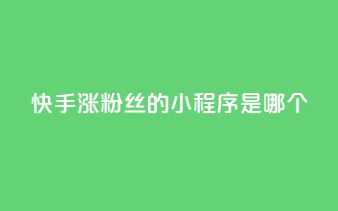 快手涨粉丝的小程序是哪个,彩虹云商城怎么自动补充卡密 - ks一键取赞下载 低价购买QQ会员的平台 第1张