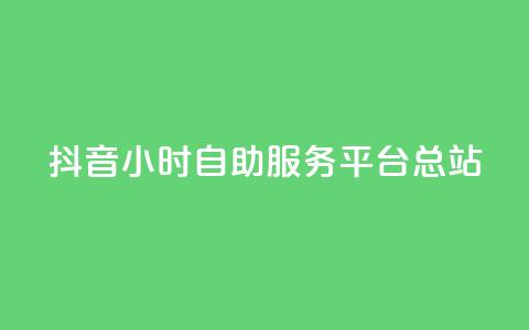 抖音24小时自助服务平台总站 - 抖音24小时自助服务平台全新上线! 第1张