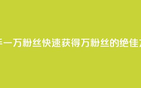 快手一万粉丝(快速获得1万粉丝的绝佳方法) 第1张