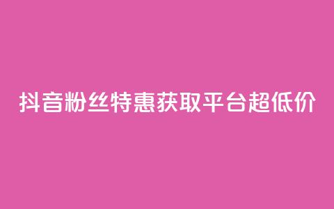 抖音粉丝特惠获取平台【超低价】 第1张