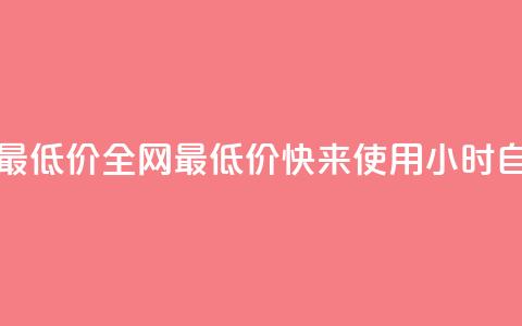 小时自助下单全网最低价 - 全网最低价！快来使用小时自助下单服务~ 第1张