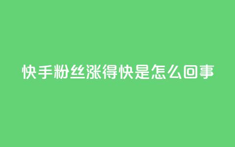 快手粉丝涨得快是怎么回事,快手播放量设置器下载 - 免费快手作品点赞的 抖音点赞辅助器破解 第1张