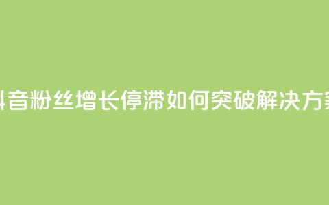 抖音粉丝增长停滞如何突破解决方案 第1张