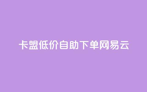 卡盟低价自助下单网易云 第1张