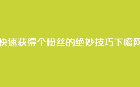 快速获得1000个粉丝的绝妙技巧 第1张